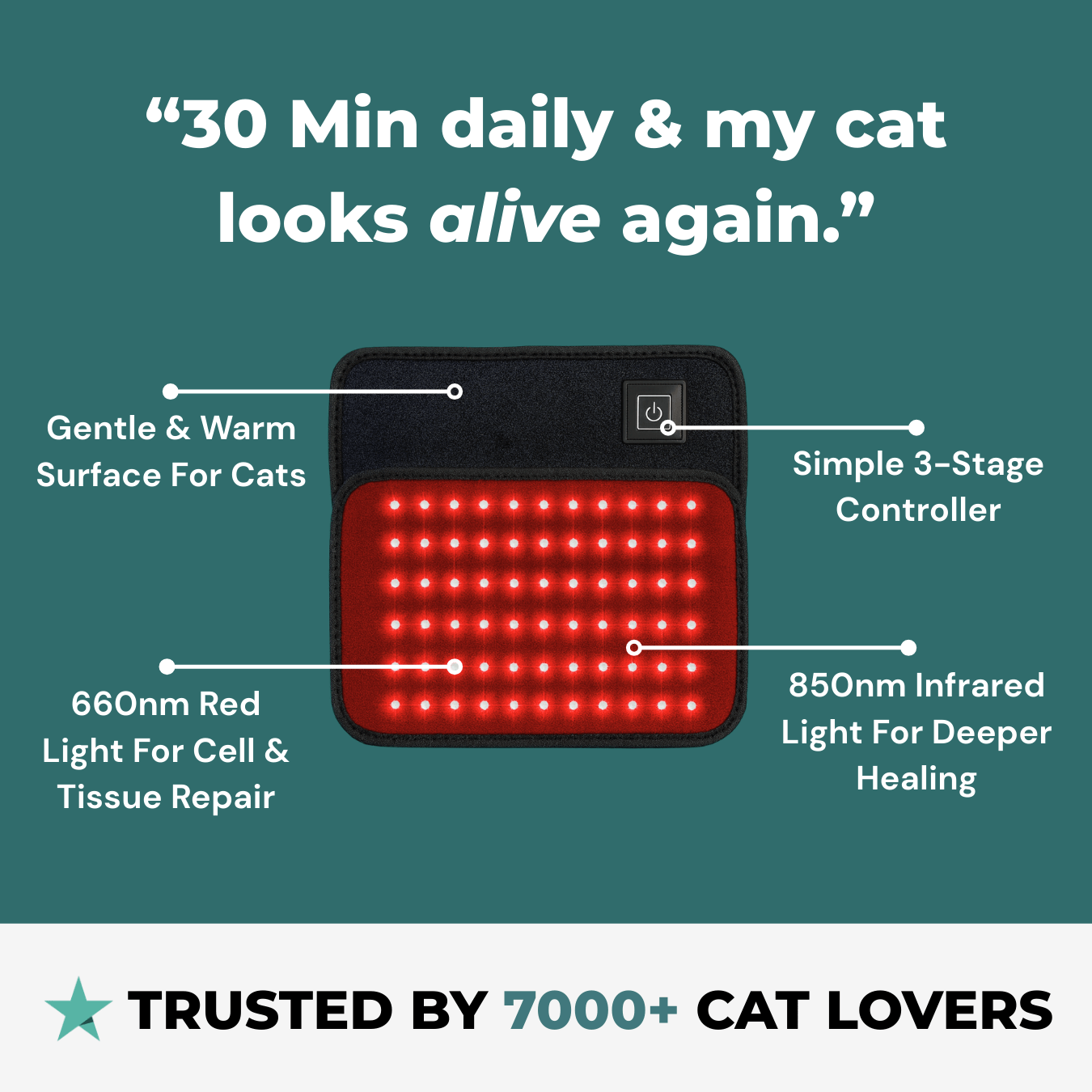 CERVIA™ Red Light Pad: Brain & Body Recharge For Your Cat