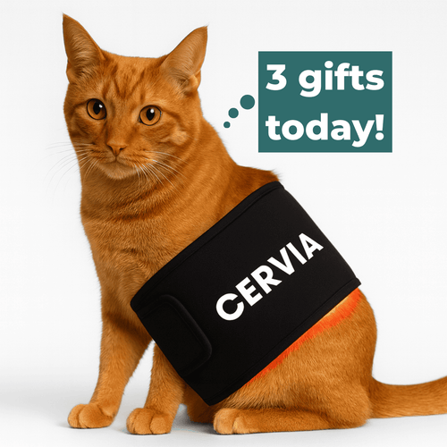 CERVIA™ Red Light Pad: Brain & Body Recharge For Your Cat