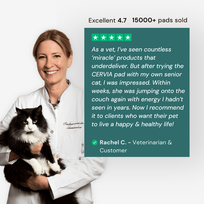 CERVIA™ Red Light Pad: Brain & Body Recharge For Your Cat