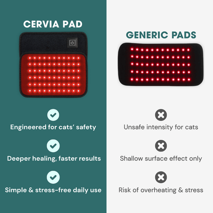 CERVIA™ Red Light Pad: Brain & Body Recharge For Your Cat